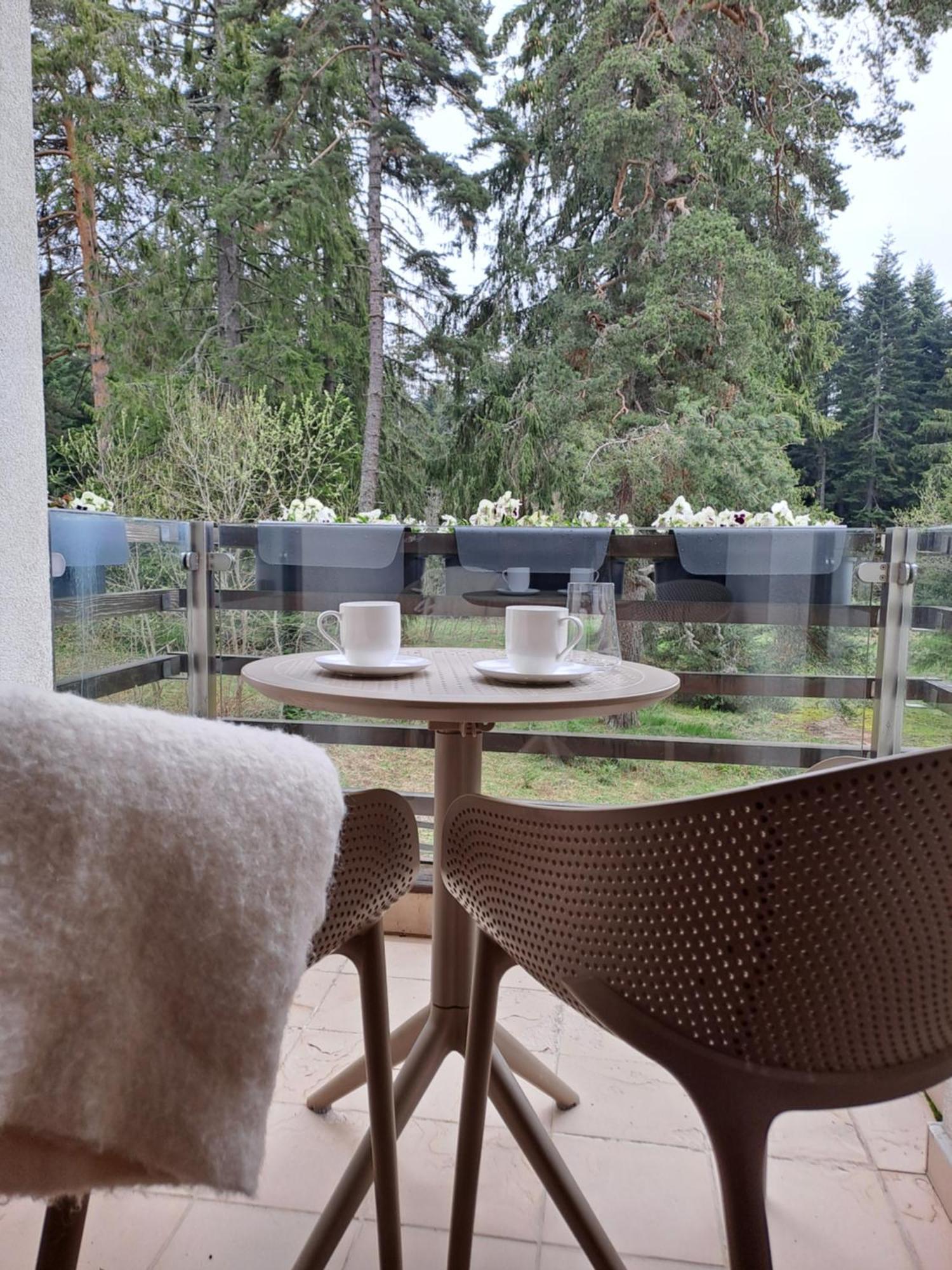 Rila Mountain Design Studio, Borovets, Shiroka Poliana 216 * Μπόροβετς